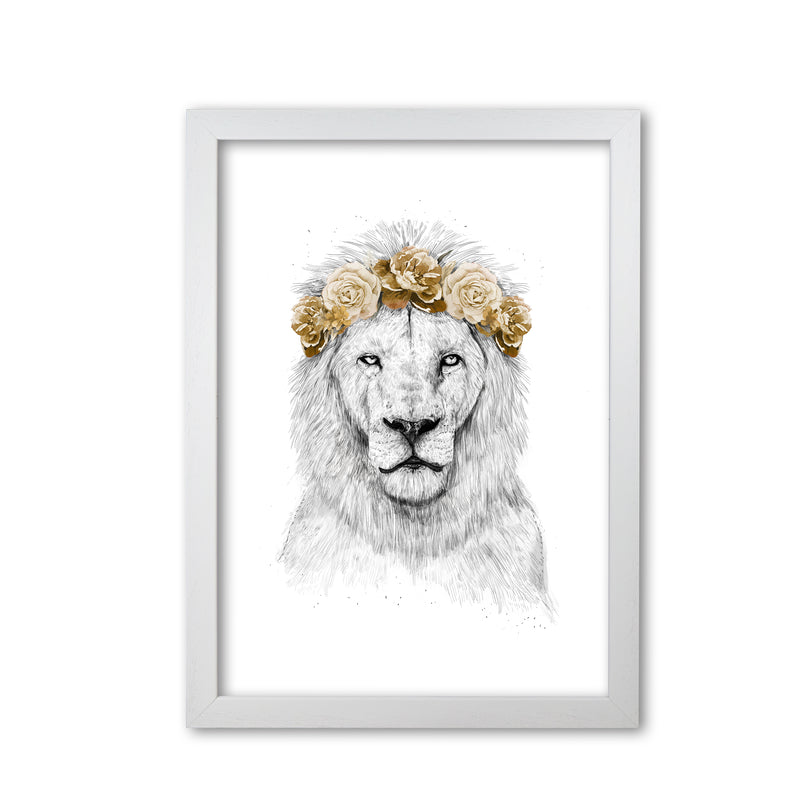 Festival Floral Lion II Animal Art Print by Balaz Solti White Grain