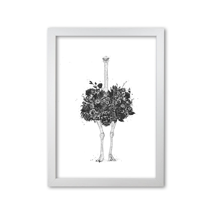 Floral Ostrich Animal Art Print by Balaz Solti White Grain