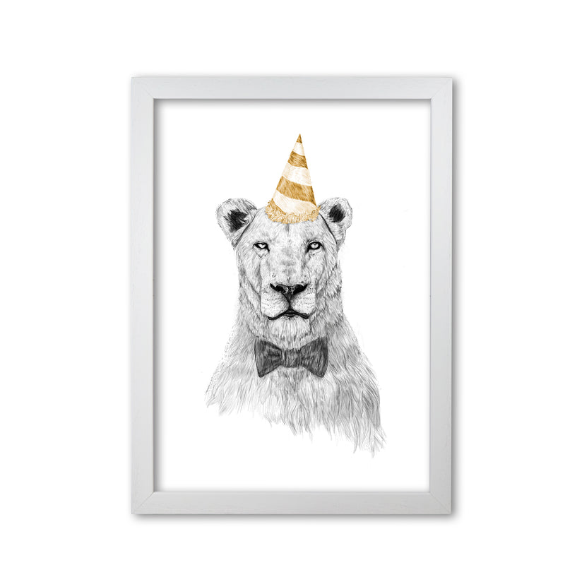 Get The Party Started Lion Colour Animal Art Print by Balaz Solti White Grain
