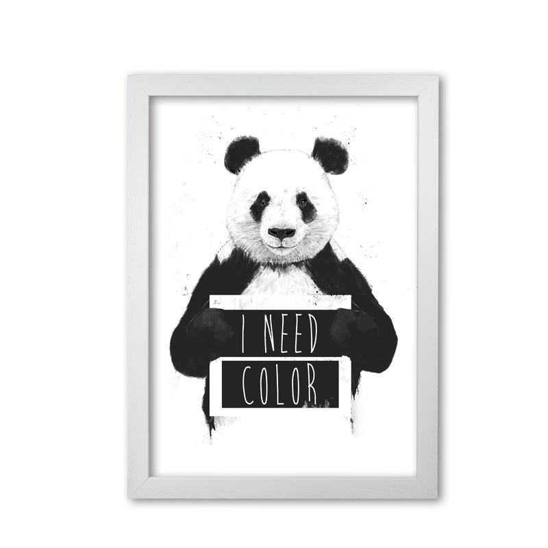 I Need Colour Panda Animal Art Print by Balaz Solti White Grain