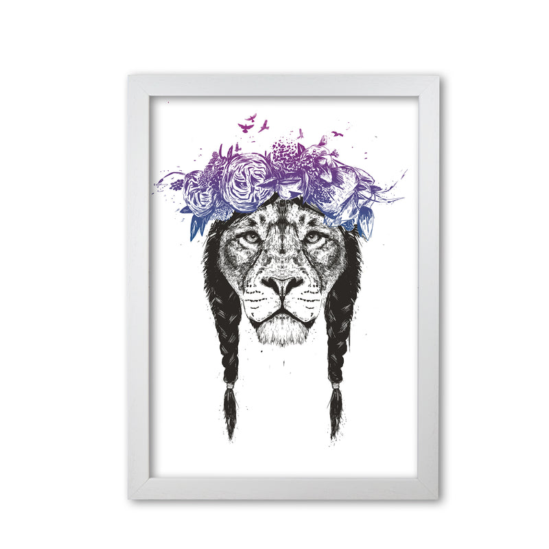 King Of Lions Animal Art Print by Balaz Solti White Grain