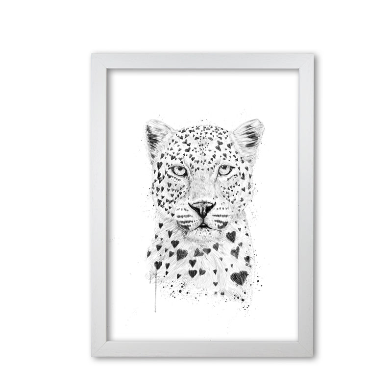 Lovely Leopard Animal Art Print by Balaz Solti White Grain
