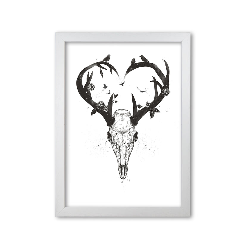 Never-ending Love Deer Skull B&W Animal Art Print by Balaz Solti White Grain
