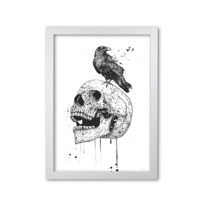 Skull & Raven B&W Animal Art Print by Balaz Solti White Grain