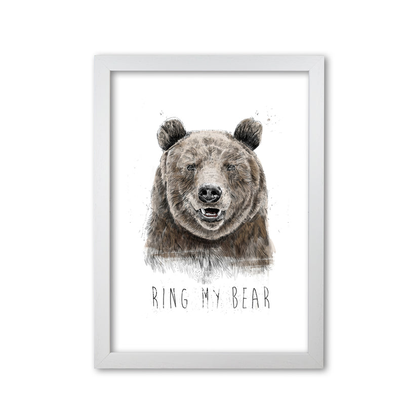 Ring My Bear Animal Art Print by Balaz Solti White Grain