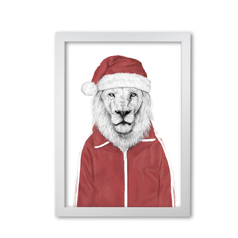 Santa Lion Animal Art Print by Balaz Solti White Grain