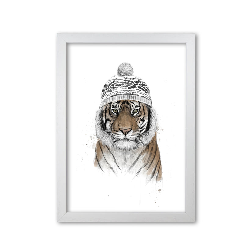 Siberian Tiger Animal Art Print by Balaz Solti White Grain