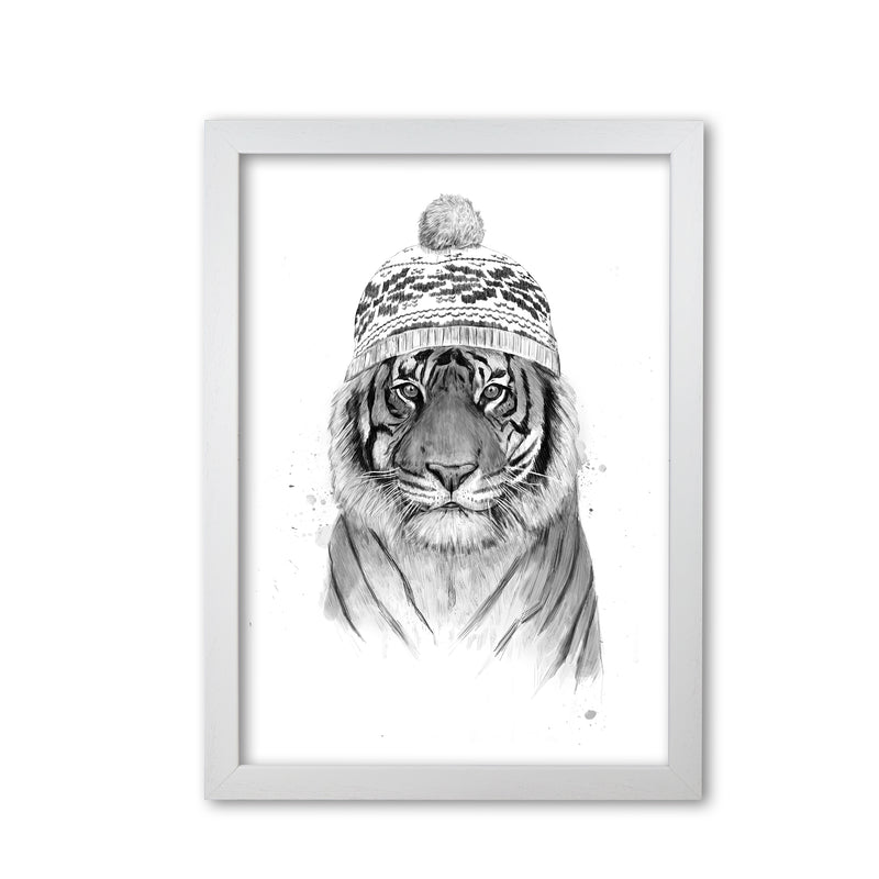Siberian Tiger B&W Animal Art Print by Balaz Solti White Grain