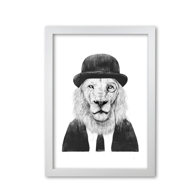 Sir Lion Animal Art Print by Balaz Solti White Grain