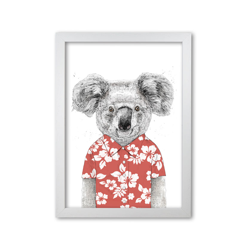 Summer Koala Red Animal Art Print by Balaz Solti White Grain