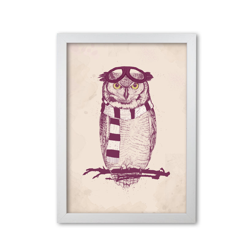 The Aviator Owl Animal Art Print by Balaz Solti White Grain