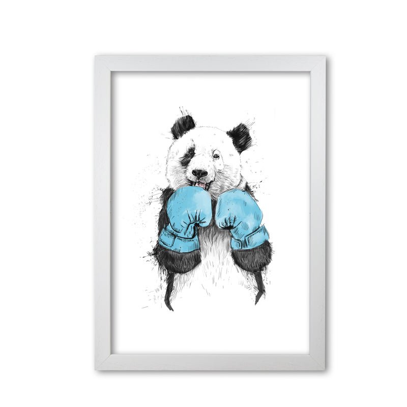 The Winner Boxing Panda Animal Art Print by Balaz Solti White Grain