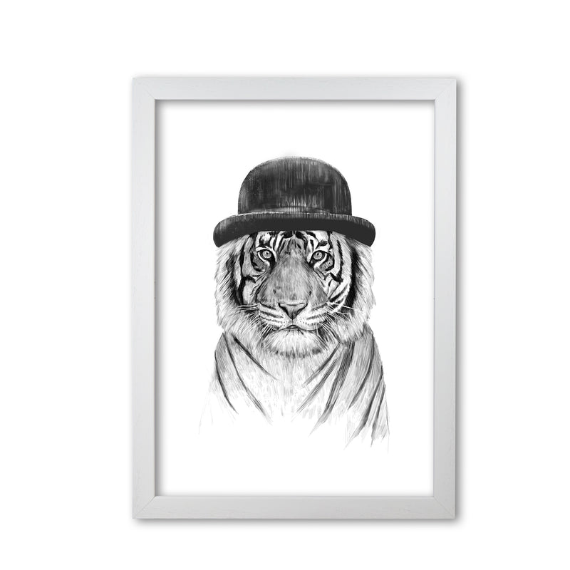Welcome To The Jungle Tiger Animal Art Print by Balaz Solti White Grain