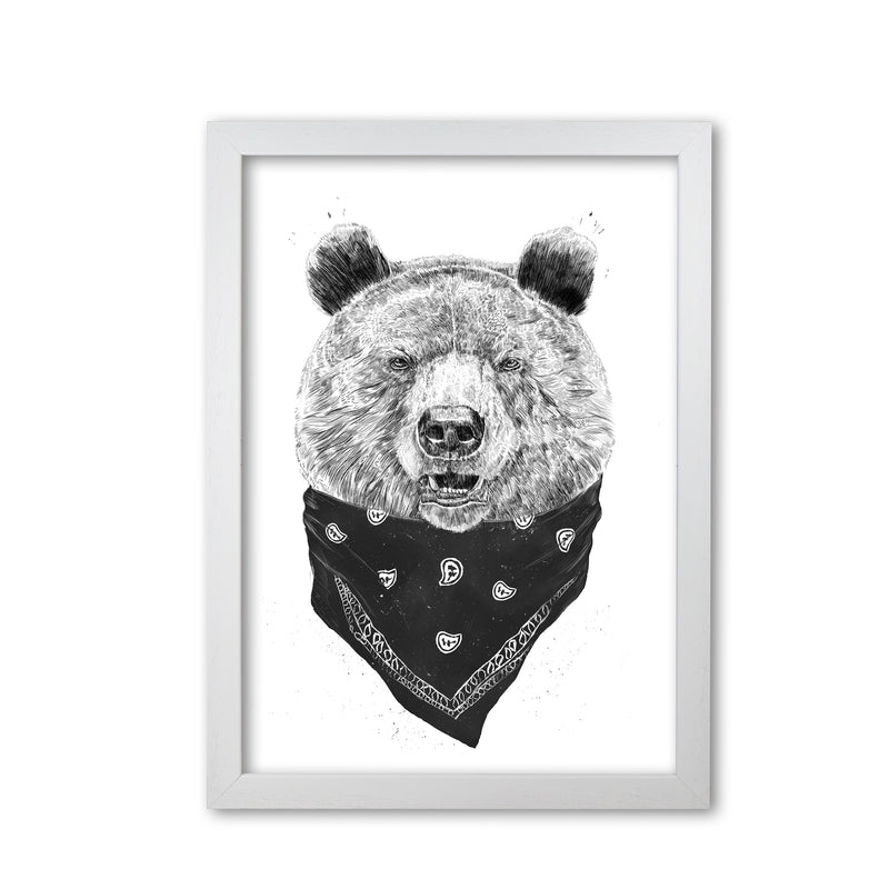 Wild Bear Animal Art Print by Balaz Solti White Grain