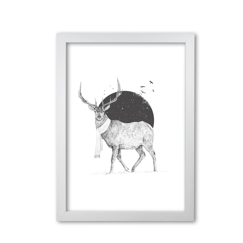 Winter Is All Around Stag Animal Art Print by Balaz Solti White Grain