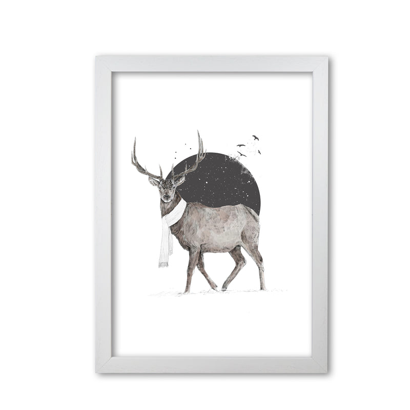 Winter Is All Around Stag Colour Animal Art Print by Balaz Solti White Grain