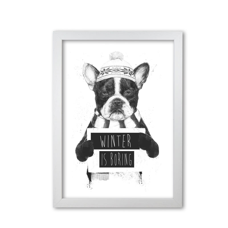 Winter Is Boring Animal Art Print by Balaz Solti White Grain