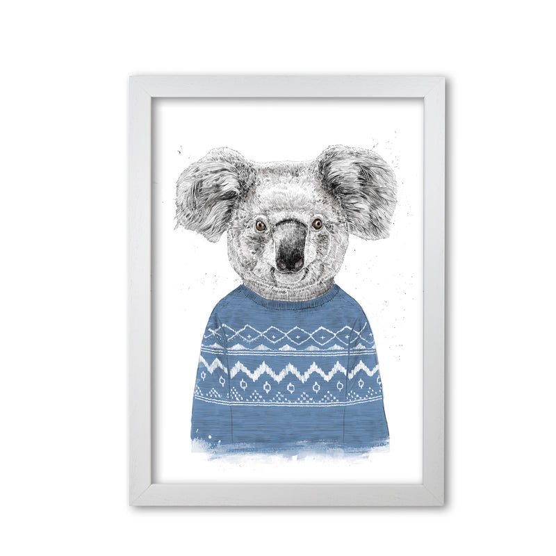 Winter Koala Blue Animal Art Print by Balaz Solti White Grain