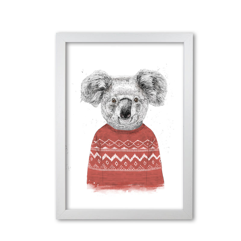 Winter Koala Red Animal Art Print by Balaz Solti White Grain