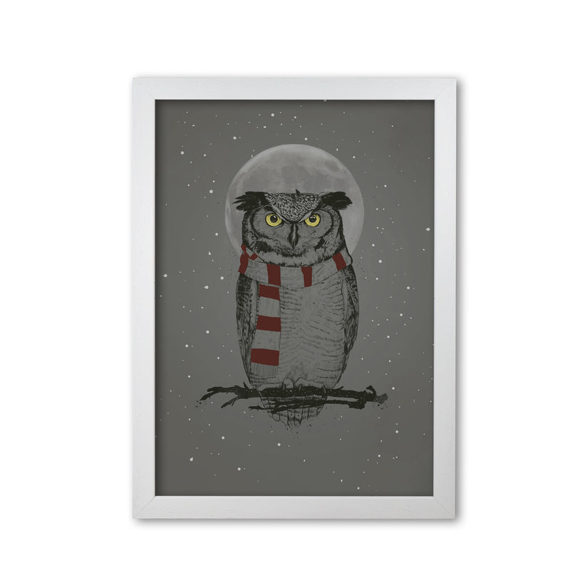 Winter Owl Animal Art Print by Balaz Solti White Grain