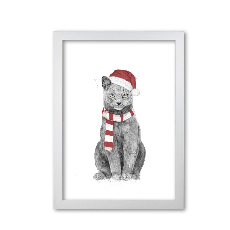 Christmas Cat Animal Art Print by Balaz Solti White Grain