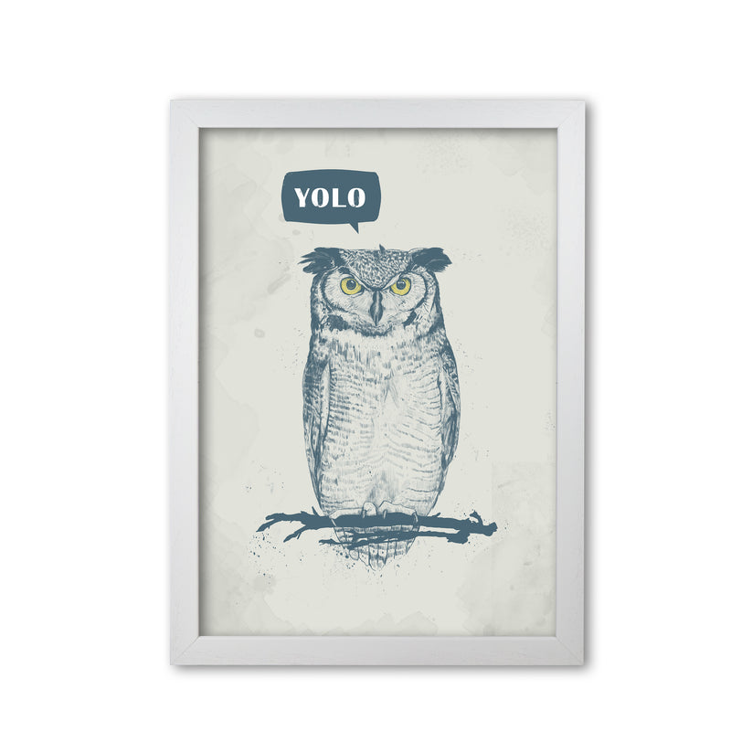 Yolo Owl Animal Art Print by Balaz Solti White Grain