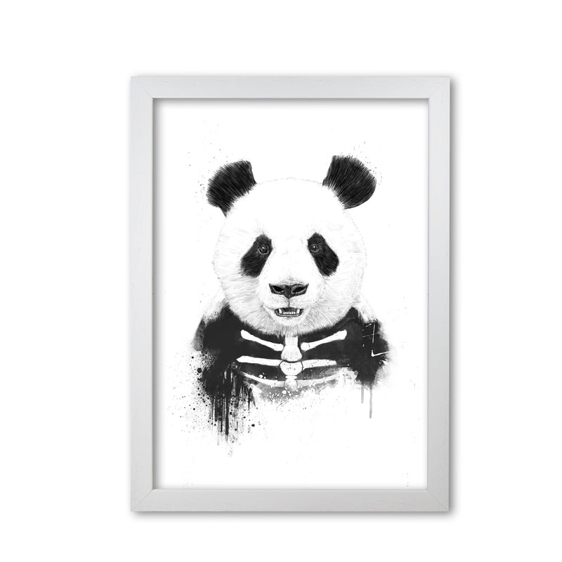 Zombie Panda Animal Art Print by Balaz Solti White Grain