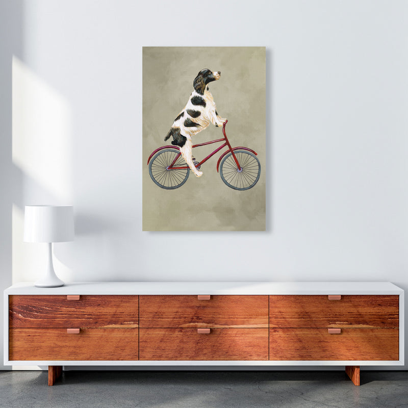 English Springer On Bicycle Art Print by Coco Deparis A1 Canvas