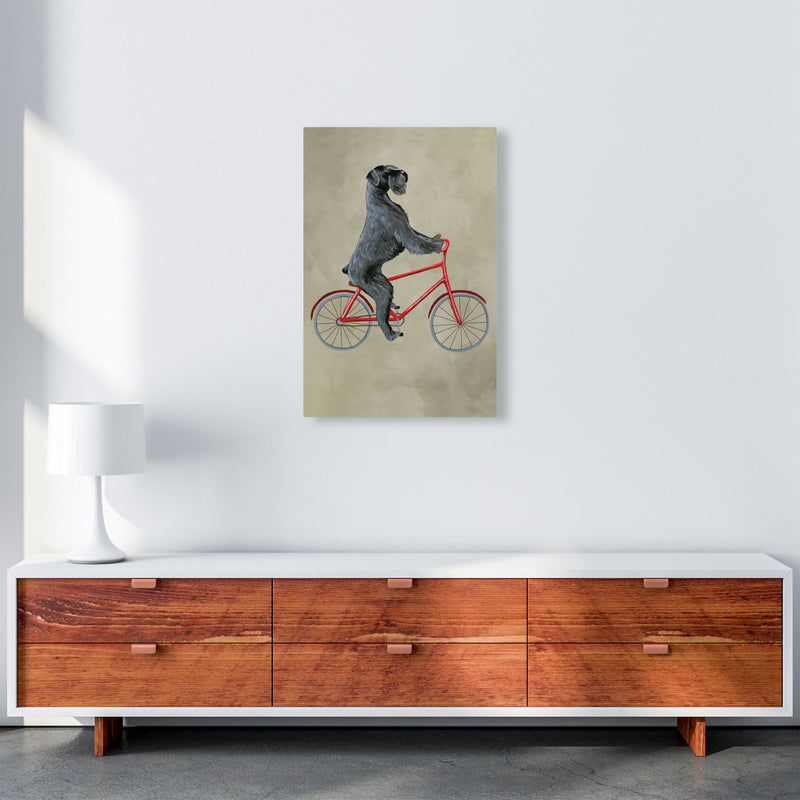 Schnauzer On Bicycle Art Print by Coco Deparis A2 Canvas