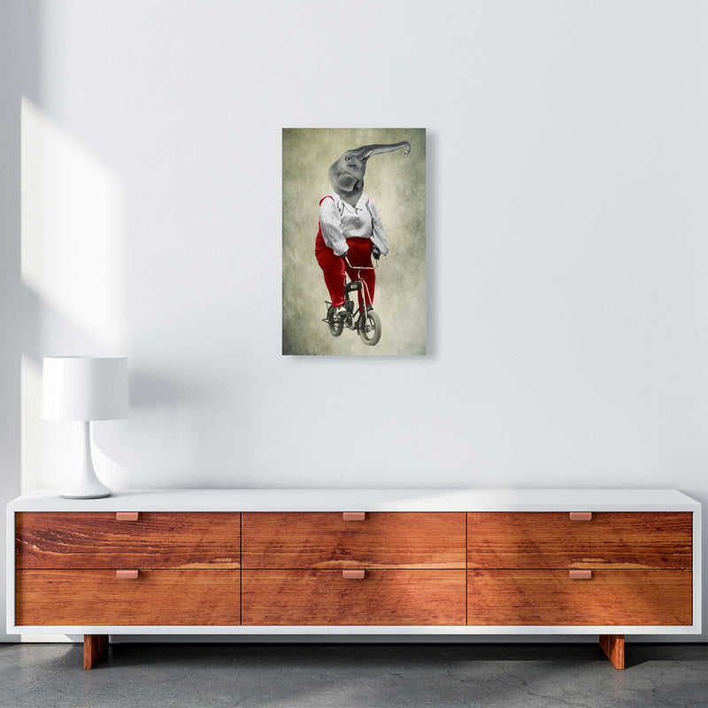 Elephant On Bicycle 02 Art Print by Coco Deparis A3 Canvas