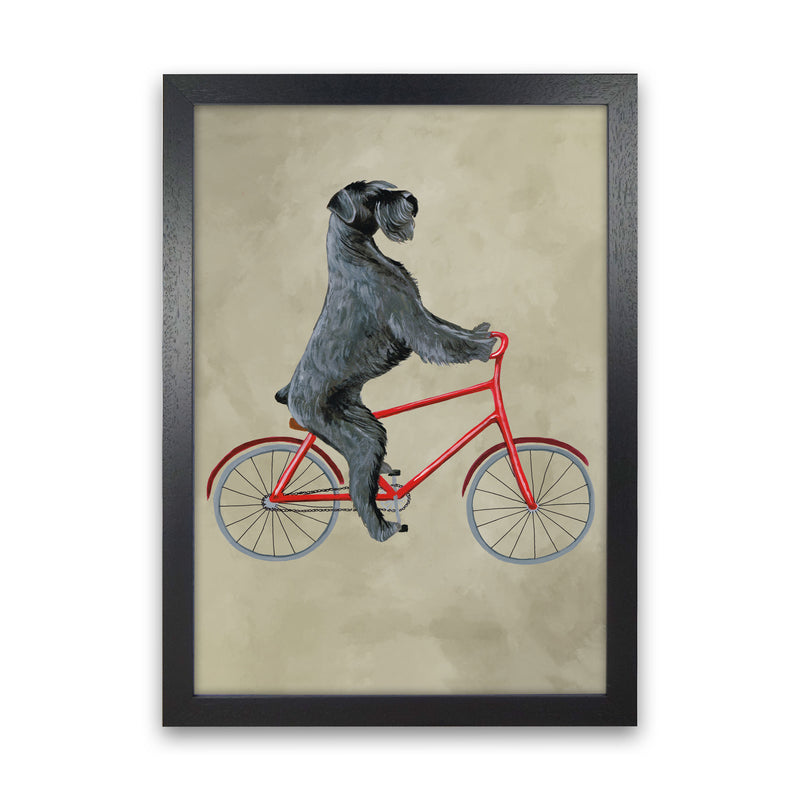 Schnauzer On Bicycle Art Print by Coco Deparis Black Grain