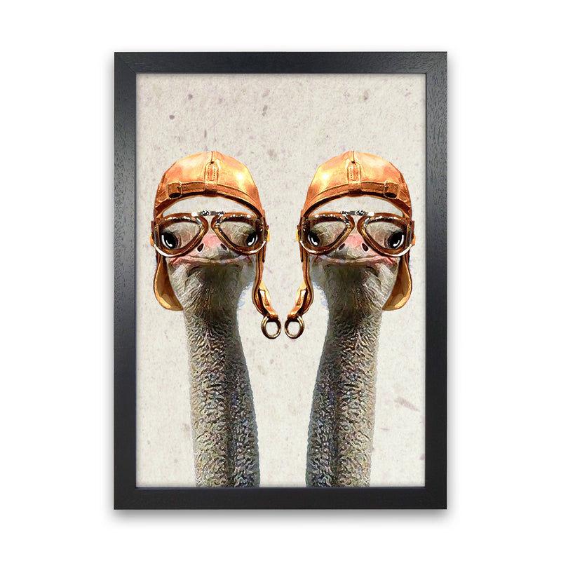 Ostriches Vintage Pilotes 2 Art Print by Coco Deparis Black Grain
