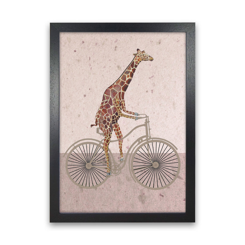 Giraffe On Bicycle Art Print by Coco Deparis Black Grain