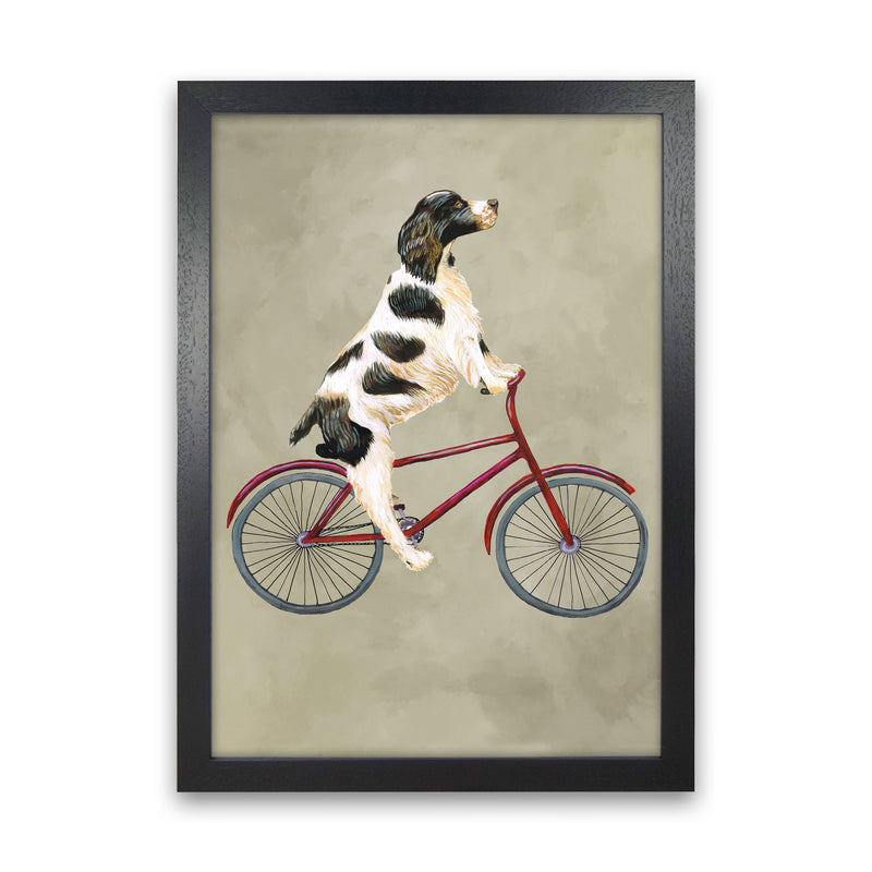 English Springer On Bicycle Art Print by Coco Deparis Black Grain