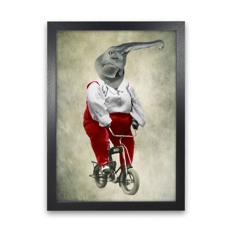 Elephant On Bicycle 02 Art Print by Coco Deparis Black Grain