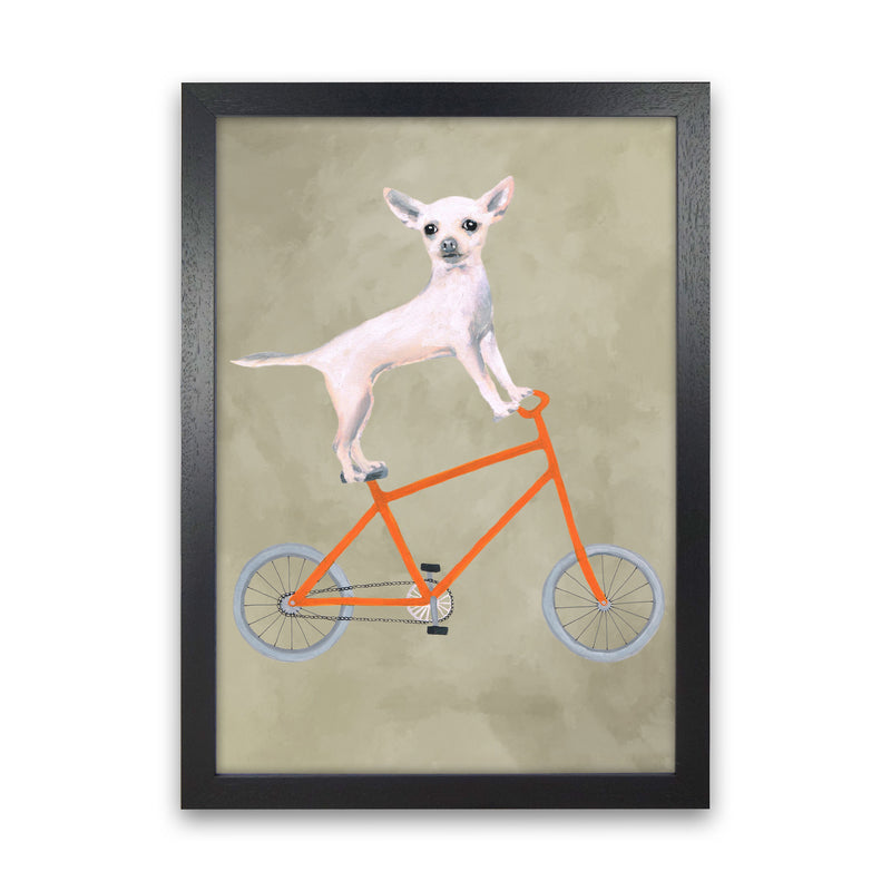Chihuahua On Bicycle Art Print by Coco Deparis Black Grain