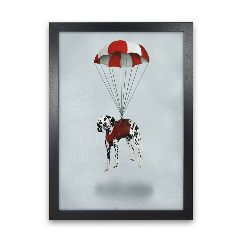 Dalmatian Parachute Art Print by Coco Deparis Black Grain