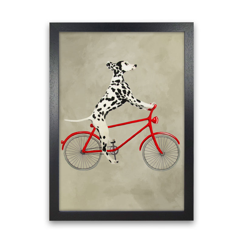 Dalmatian On Bicycle Art Print by Coco Deparis Black Grain