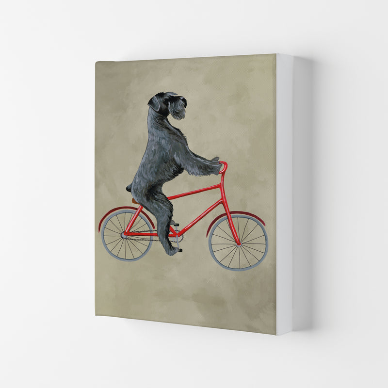 Schnauzer On Bicycle Art Print by Coco Deparis Canvas