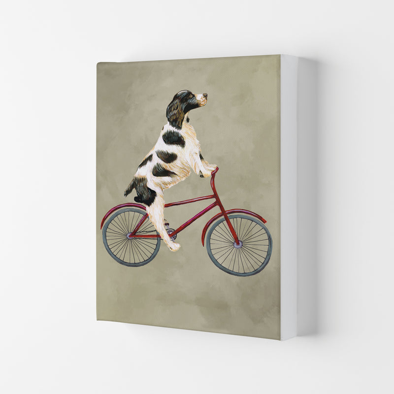 English Springer On Bicycle Art Print by Coco Deparis Canvas