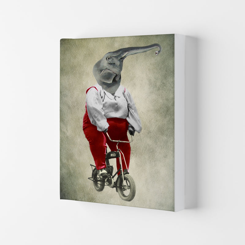 Elephant On Bicycle 02 Art Print by Coco Deparis Canvas