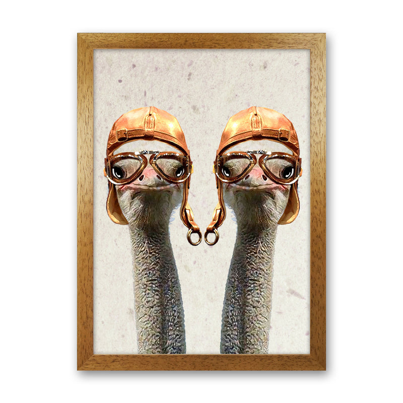 Ostriches Vintage Pilotes 2 Art Print by Coco Deparis Oak Grain