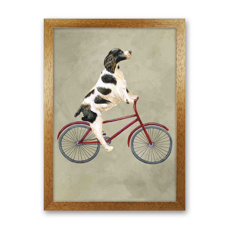 English Springer On Bicycle Art Print by Coco Deparis Oak Grain