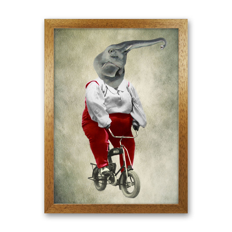 Elephant On Bicycle 02 Art Print by Coco Deparis Oak Grain