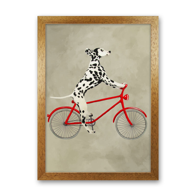 Dalmatian On Bicycle Art Print by Coco Deparis Oak Grain