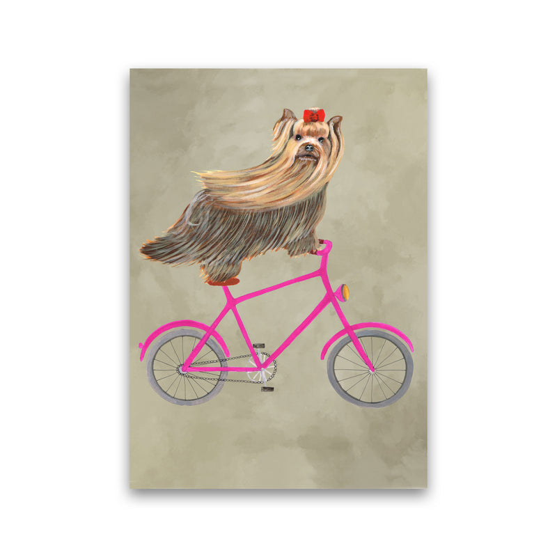 Yorkshire On Bicycle Art Print by Coco Deparis Print Only