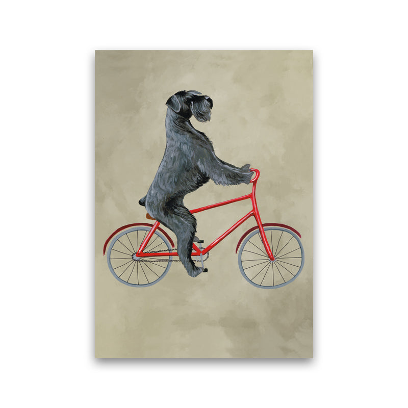 Schnauzer On Bicycle Art Print by Coco Deparis Print Only