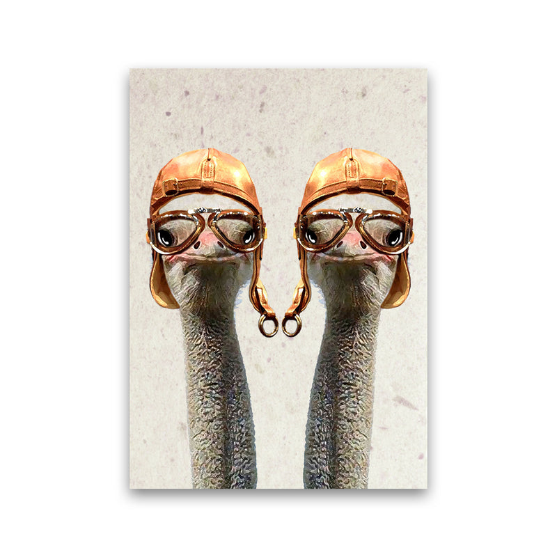 Ostriches Vintage Pilotes 2 Art Print by Coco Deparis Print Only