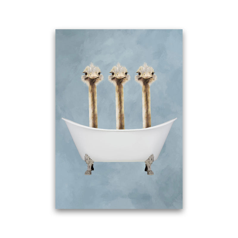 Ostriches In Bathtub Art Print by Coco Deparis Print Only