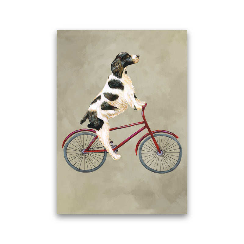 English Springer On Bicycle Art Print by Coco Deparis Print Only